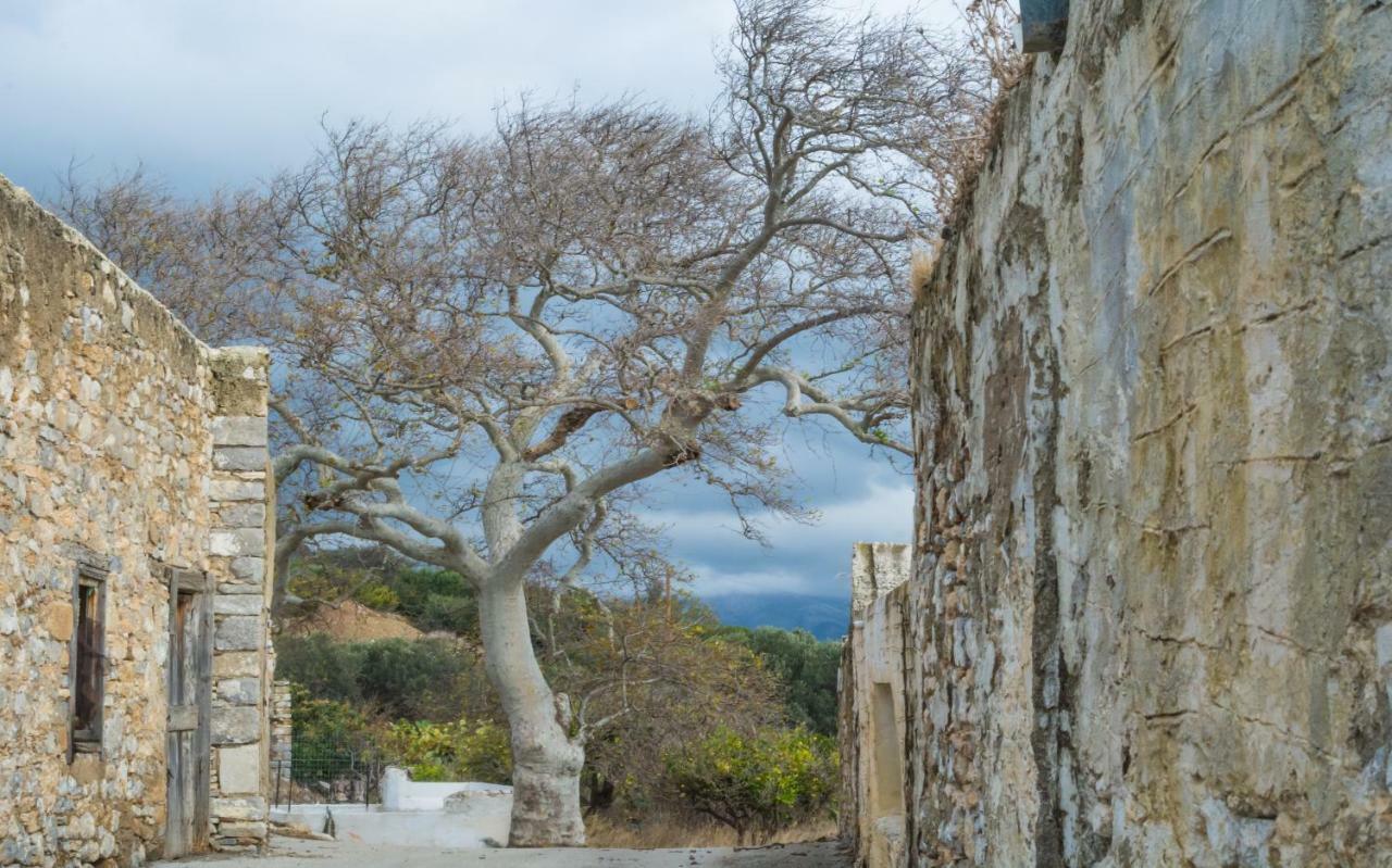 Limeri Traditional Guest House Monolithos  Екстер'єр фото